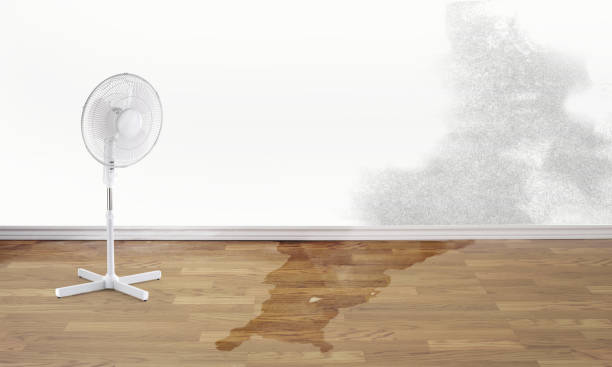 Best Water damage restoration mold remediation  in Cos Co, CT