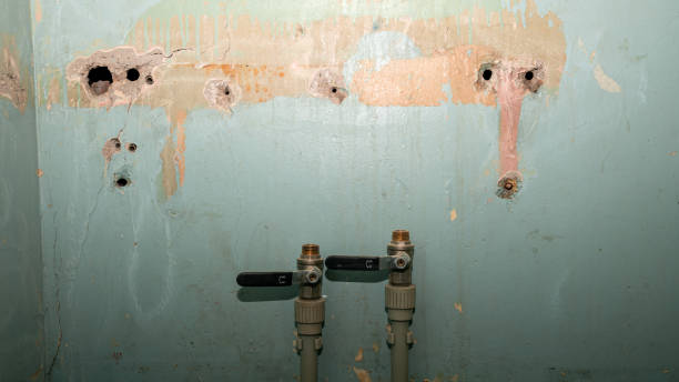 Best 24/7 water damage repair  in Cos Co, CT